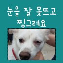 횡성동물병원 이미지