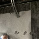 2안 PC방 이미지