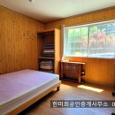 299펜션 Daum카페