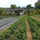 평창 대하리 전통가옥 이미지