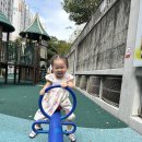 푸른꿈어린이집 놀이터 이미지