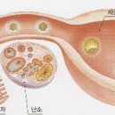 아틀라스동물의료센터 이미지
