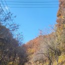 단월 포레스트펜션 이미지