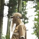 디티코리아 이미지