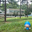 목포크 | 이천 애견동반카페 포크테일 방문후기