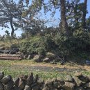 정은부동산공인중개사사무소 이미지