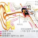 뱀허물.사퇴 이미지