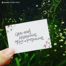 육하원칙 이미지