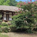 남도1번지 이미지