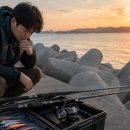 리더낚시유통 | [초심자 가이드] 첫 번째 무늬오징어 편 : 예산별 로드·릴·PE라인·에기 입문 세팅 총정리 - ④