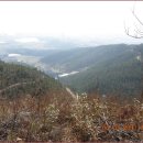 세풍중군간도로 이미지