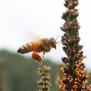 프로공인중개사사무소 이미지