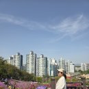 철쭉공원 화장실(지하) | 군포철쭉축제 후기 개화상황 실시간 주차 꿀팁 서울근교여행 4월축제