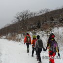 나이 들어 나타나는 증상은 바로 치료해야 이미지