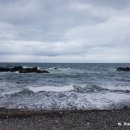 신토불이횟집 이미지