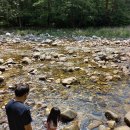 솔바위로그하우스 이미지