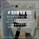 수림결혼정보 이미지