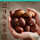 23년 공주밤 햇밤 포르단밤 알밤 생밤 1키로 8900원 이미지