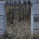 허대구 대구통닭 진천점