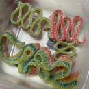 맘편하개 | 2월 나는 모든 것을 맞닥 뜨리겠다