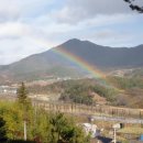 무지개농장 이미지