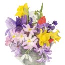 아름다운 정원을 꿈 | 살아온 그녀의 마지막 여정> 타샤 튜더 (2025)후기 + 쿠키 있음 + 롯데시네마 특전 타샤 튜더 전시회 티켓