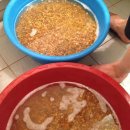 솔로몬농장 이미지