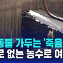 야생동물 가두는 &#39;죽음의 덫&#39;…탈출로 없는 농수로 여전 이미지