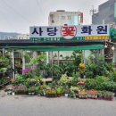 사당꽃화원
