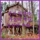 랑 호텔(RANG Hotel) | 가성비부터 일출뷰까지 강릉 경포 숙소 7곳 장점 단점 총정리