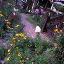 설악허브빌펜션 이미지