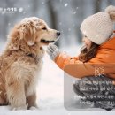 동물병원 누리에뜰 네이버블로그