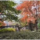 권선자이114공인중개사사무소 | 권선동권선자이 안전한 부동산 거래를 위한 믿음직한 동반자