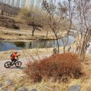 수원-0085 Daum카페