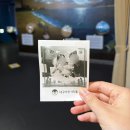 박물관 휴르 | 비메모리 사진), 대구에서 1박2일 놀기(부엉이박물관 휴르, 가오리찜, 똥집튀김, 댄하우스, 인형뽑기...
