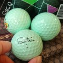 가야 CC(대중) 이미지