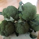 청정농원 이미지