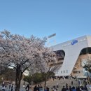 구.삼성스토어 앞 | [라팍 신상 유니폼 매장 후기] 확 바뀐 삼성라이온즈 스토어! (팀스토어 vs 어센틱샵)