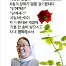 [이해인 수녀 시인] "6월의 시" 이미지