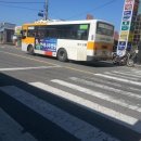 쌍송배기 버스정류장 Daum카페