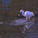 불광천6 이미지