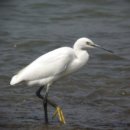 수원팔색길 도란길 이미지