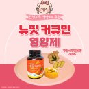 뉴핏 | 태강컴퍼니 뉴핏 커큐민 후기 염증 완화와 건강영양제 추천