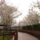 노산아파트 이미지