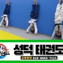 성덕태권도 이미지