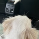 구구네미용실 이미지