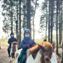 에코승마아카데미 이미지