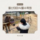 울산 동구 식물원 실내 동물원 파충류 울산테마식물수목원