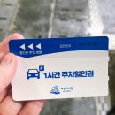 자갈치와 어머니 | 자갈치시장전복맛집 밀치 부산회센터포장 창녕상회 후기