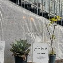 스톡(stock) 이미지